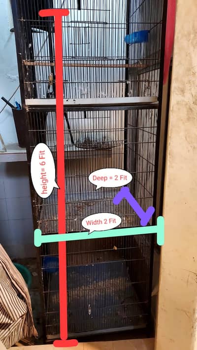 Bird cage 3 portion