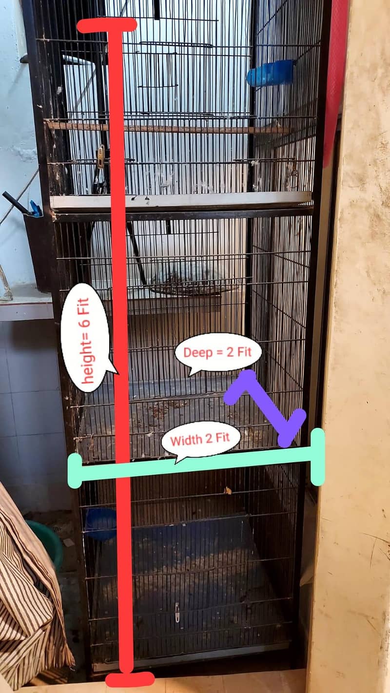 Bird cage 3 portion 0