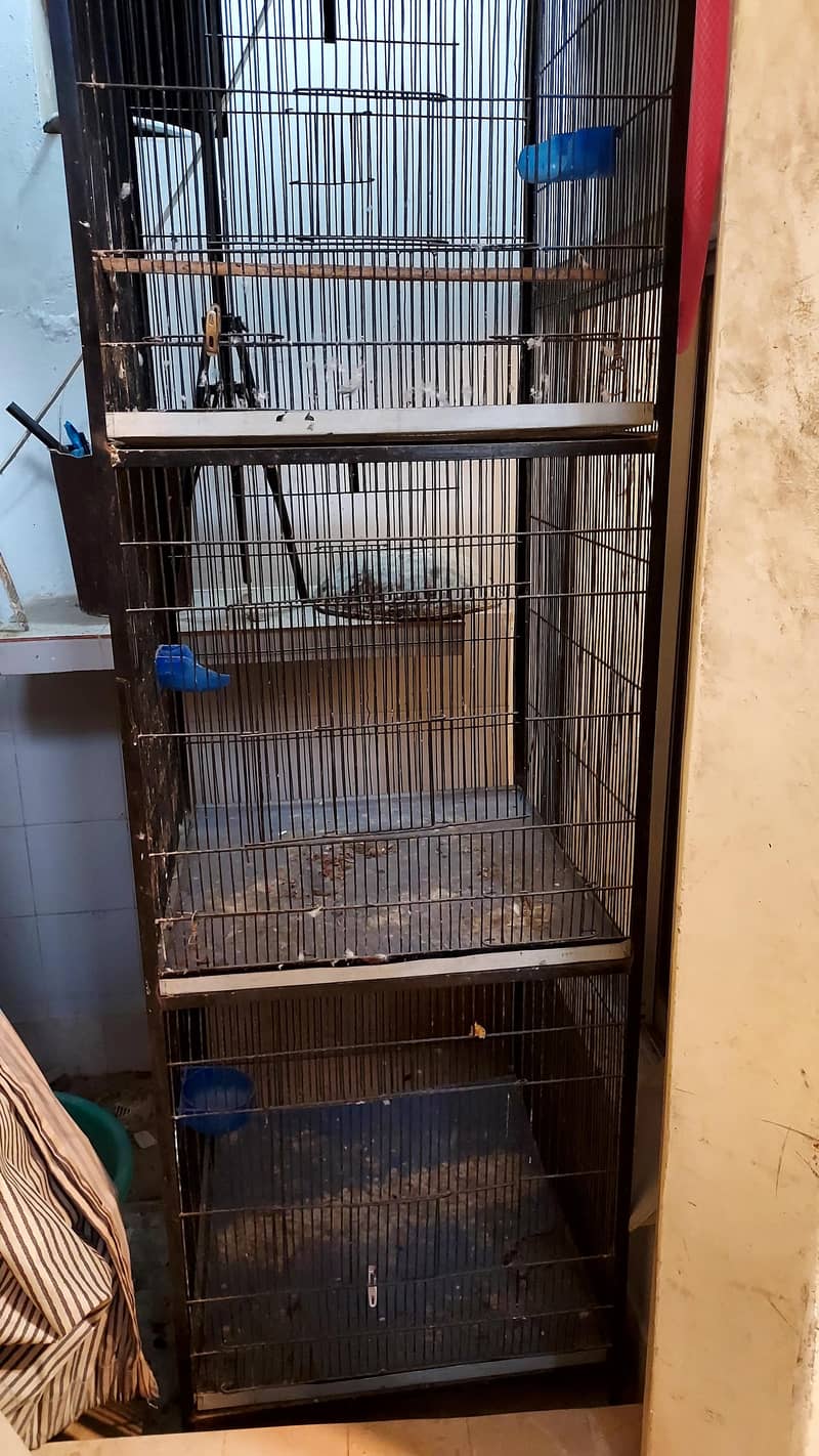 Bird cage 3 portion 1