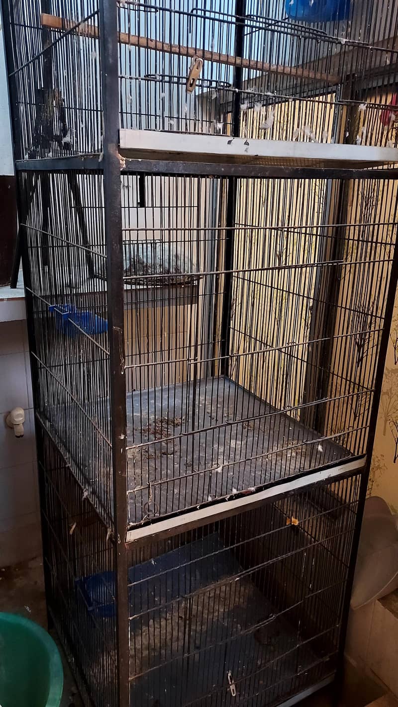 Bird cage 3 portion 2