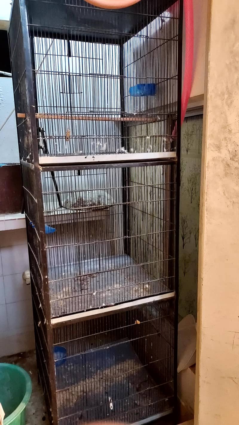 Bird cage 3 portion 3