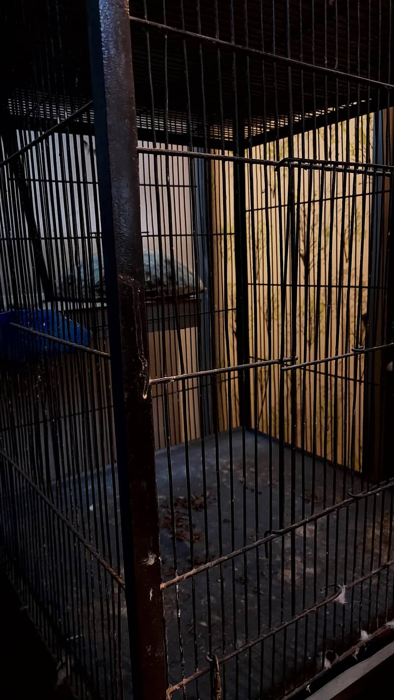 Bird cage 3 portion 4