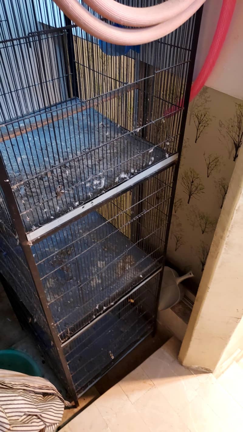 Bird cage 3 portion 5