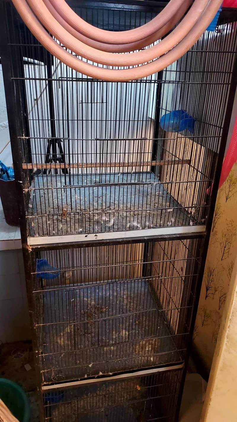 Bird cage 3 portion 6