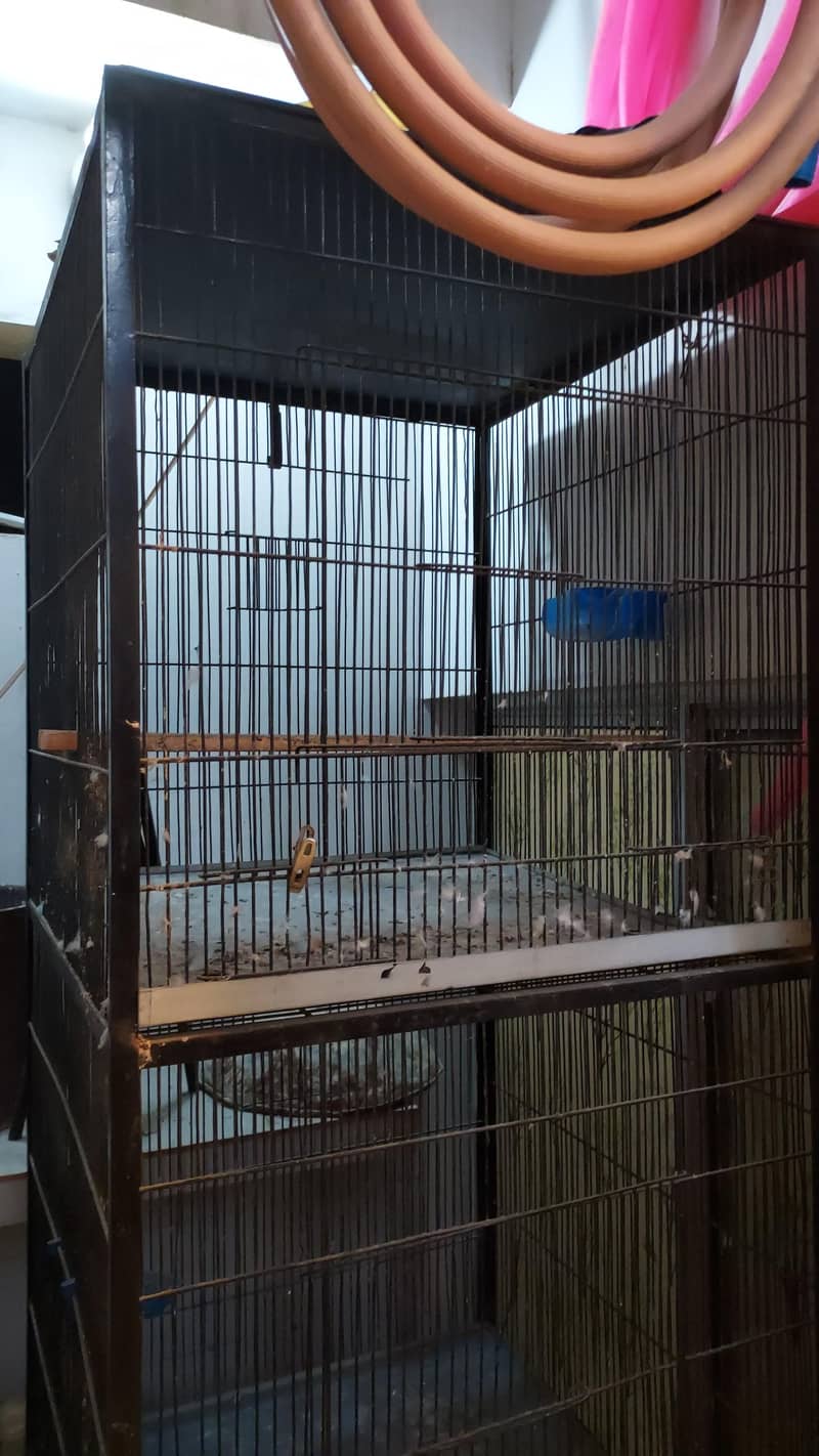 Bird cage 3 portion 7