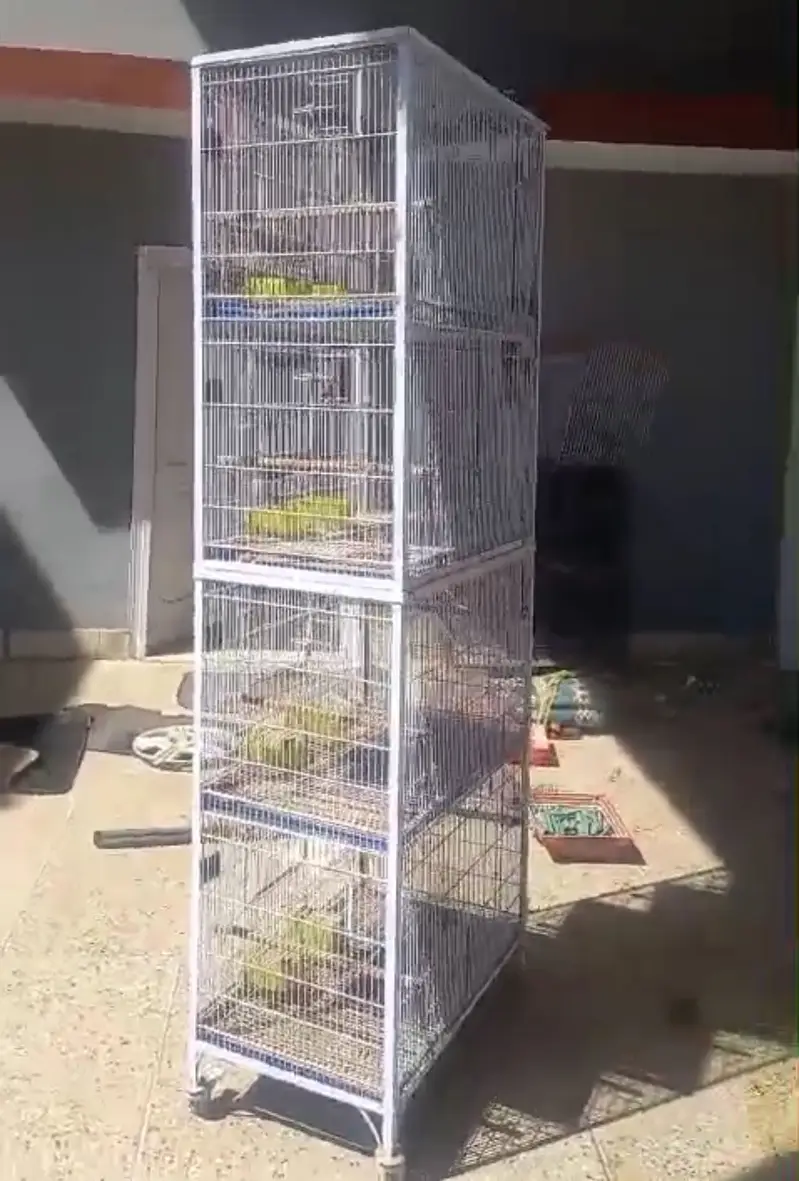 4 Powder coated cage (2.5x1.5x1.5) 4 portion — photo 2
