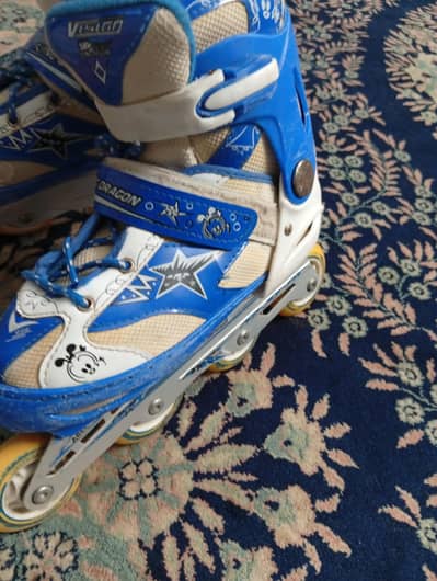 skating shoes size changing blue color