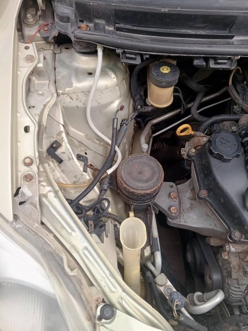 belta 9