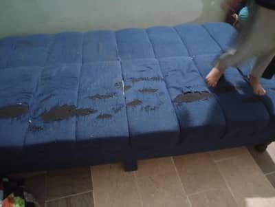 sofa cum bad 2
