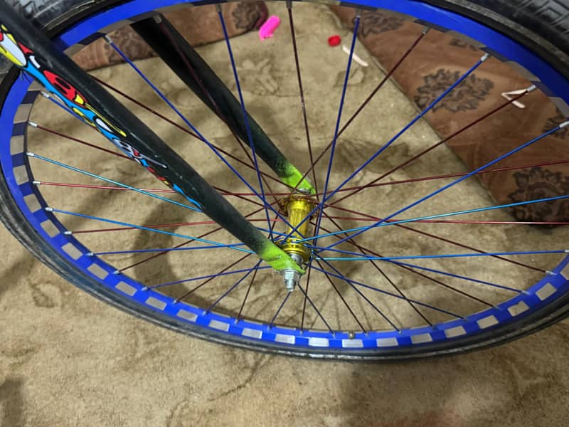Phoenix Bicycle 3