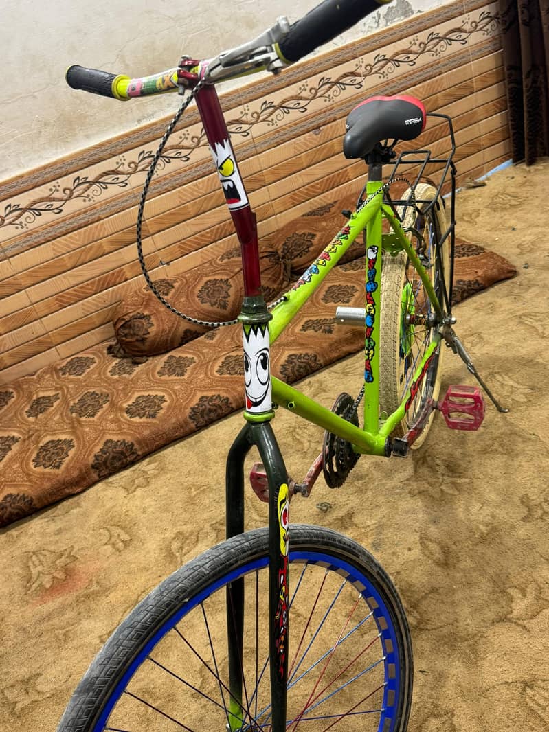Phoenix Bicycle 5