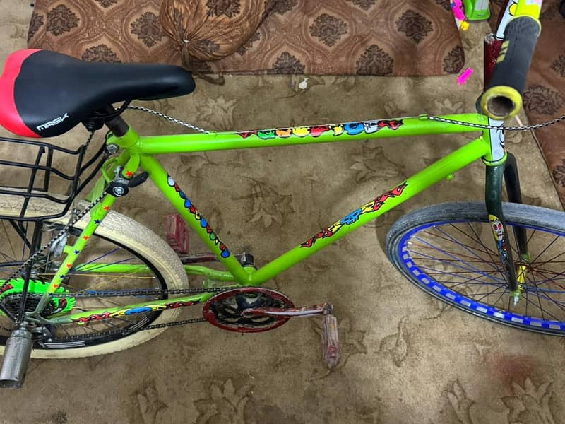 Phoenix Bicycle 7