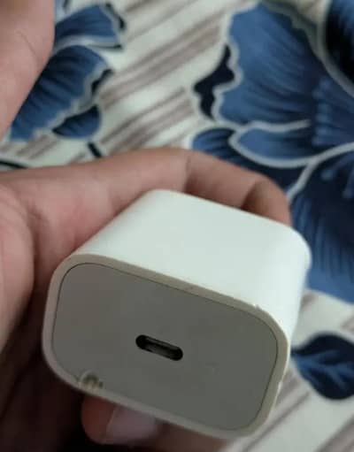 20W 2pin fast charger used ha only adapter