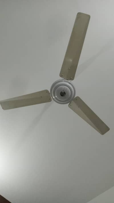 Ceiling Fan