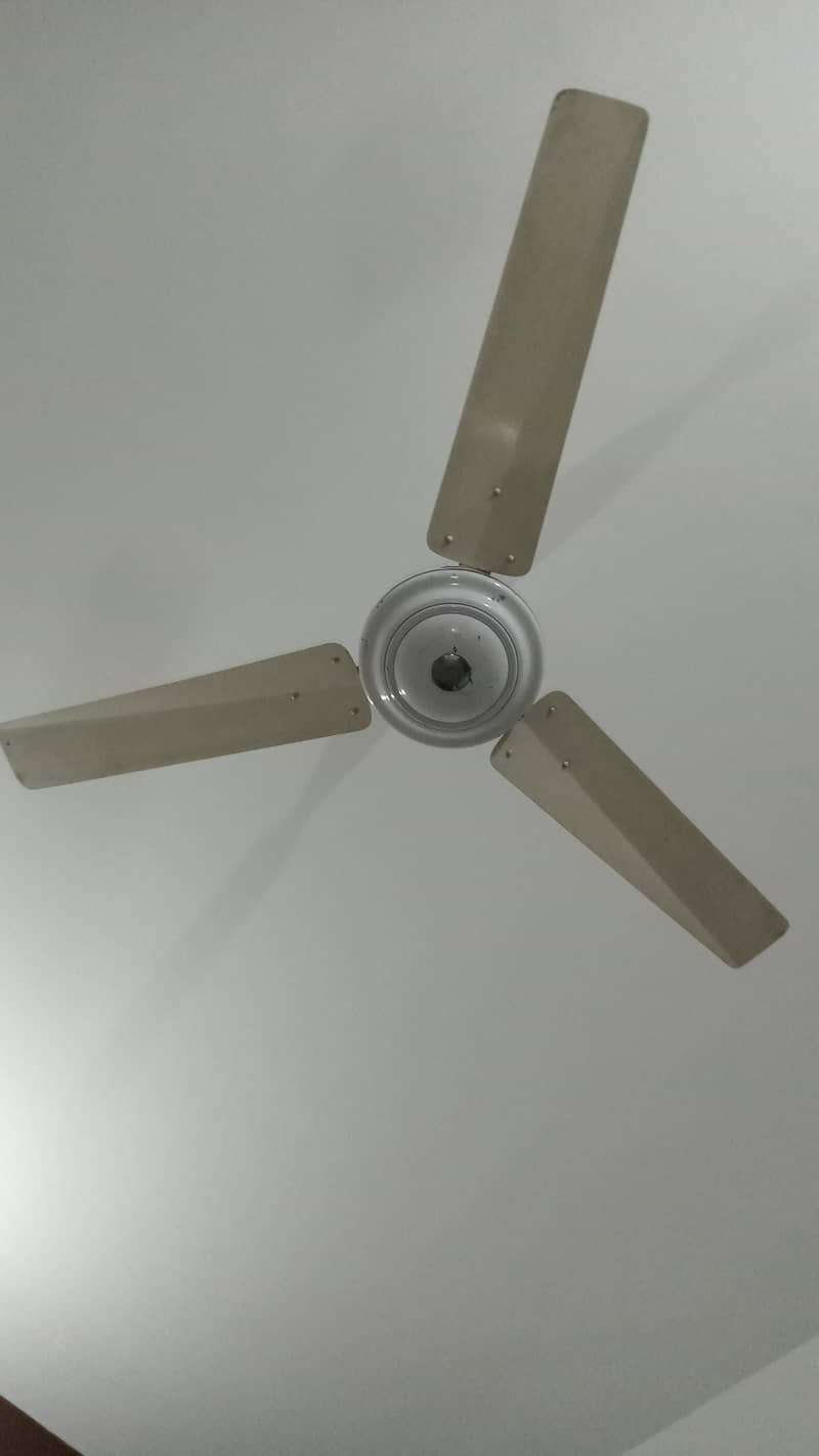 Ceiling Fan 0
