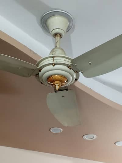 [GFC] fans 99.9% copper vire