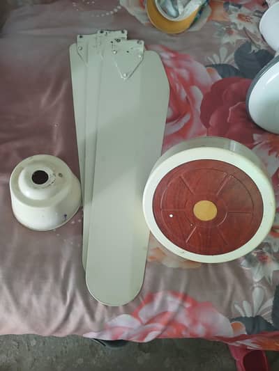 air cooler and ceiling fans