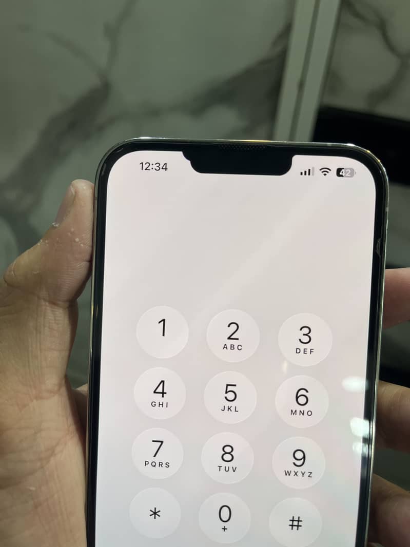 IPHONE 13 pro max 1