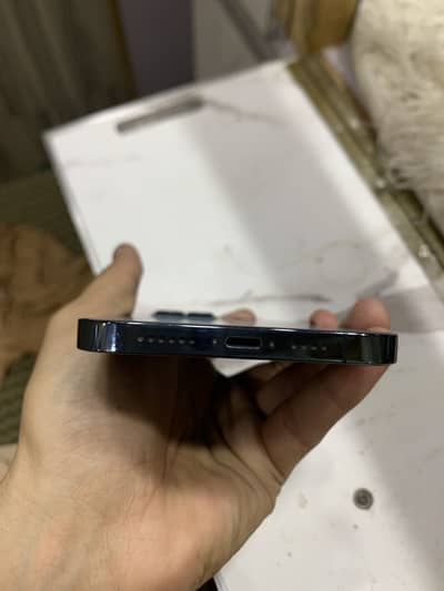 12 pro max pta approved