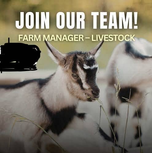 Farm Manager 0