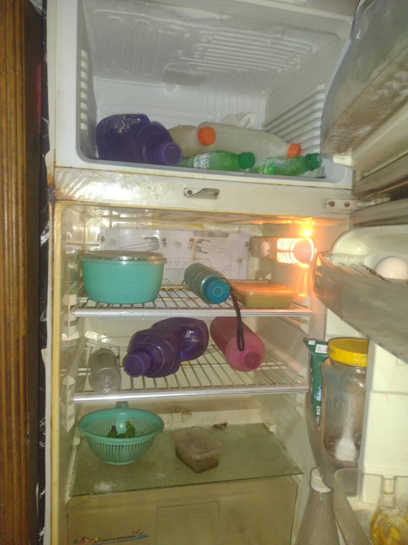 PEL FRIDGE 2