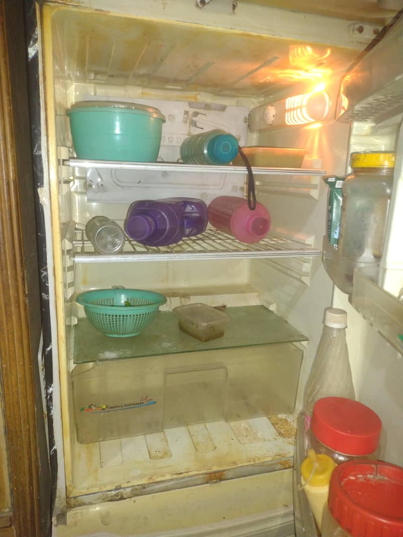 PEL FRIDGE 3