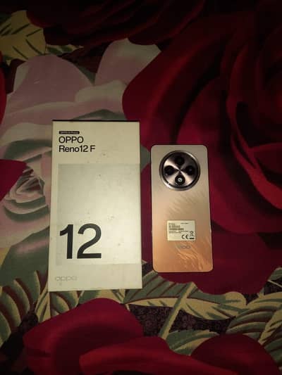 oppo Reno 12f ram 12/256 gb official pta approved