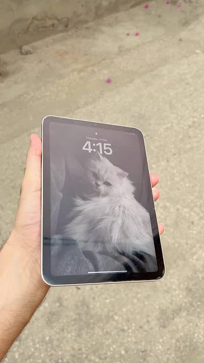Ipad mini 6