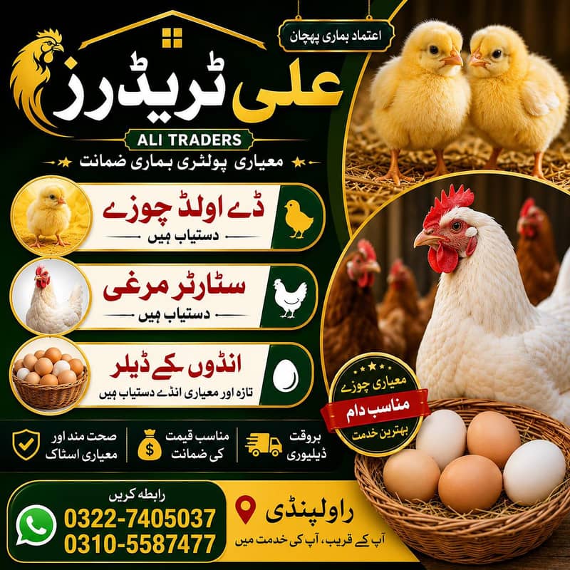 hen s 0