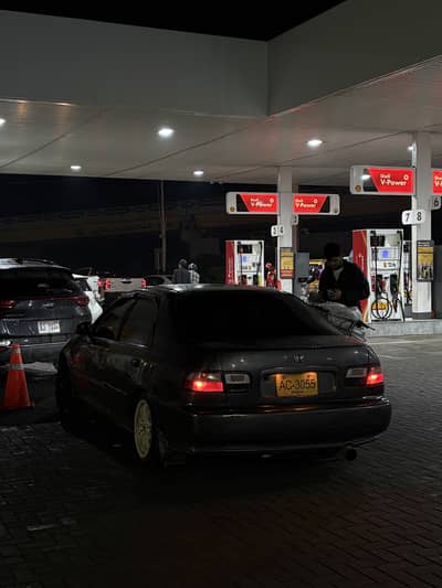 Civic dolphin