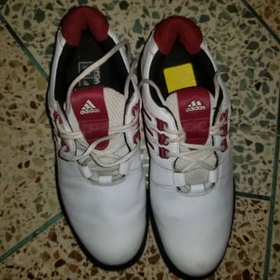 Adidas golf shoes