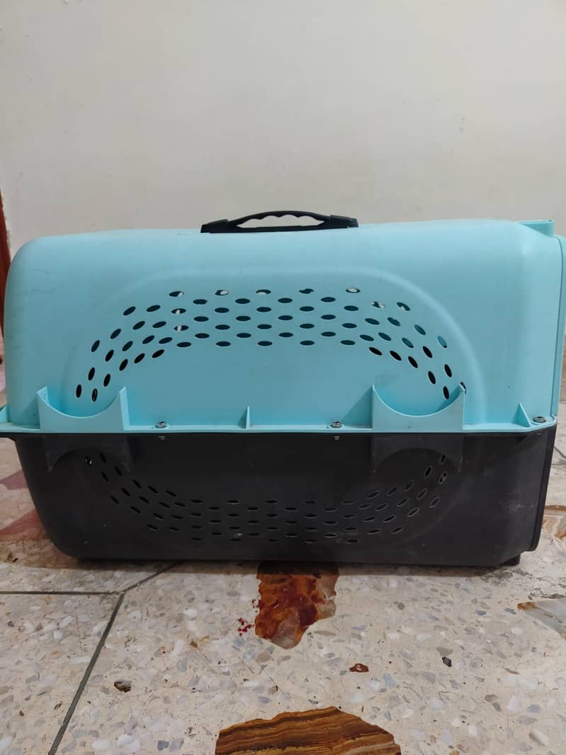 Pet Basket 4