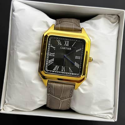 premium watches