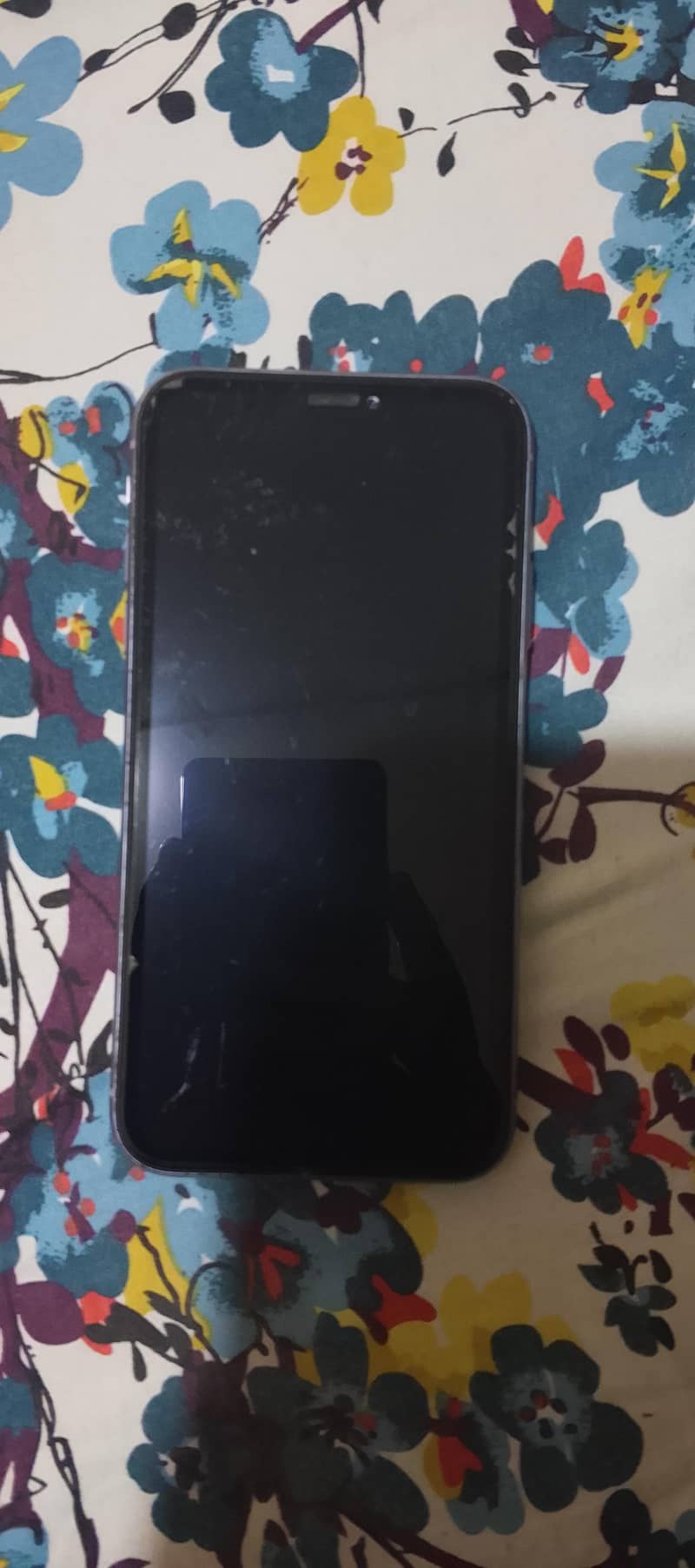 iphone 11 1