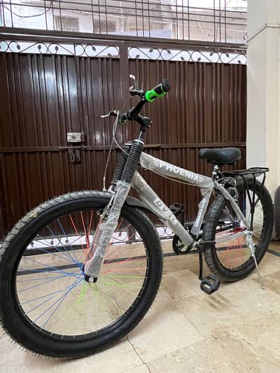 Phonix bicycle