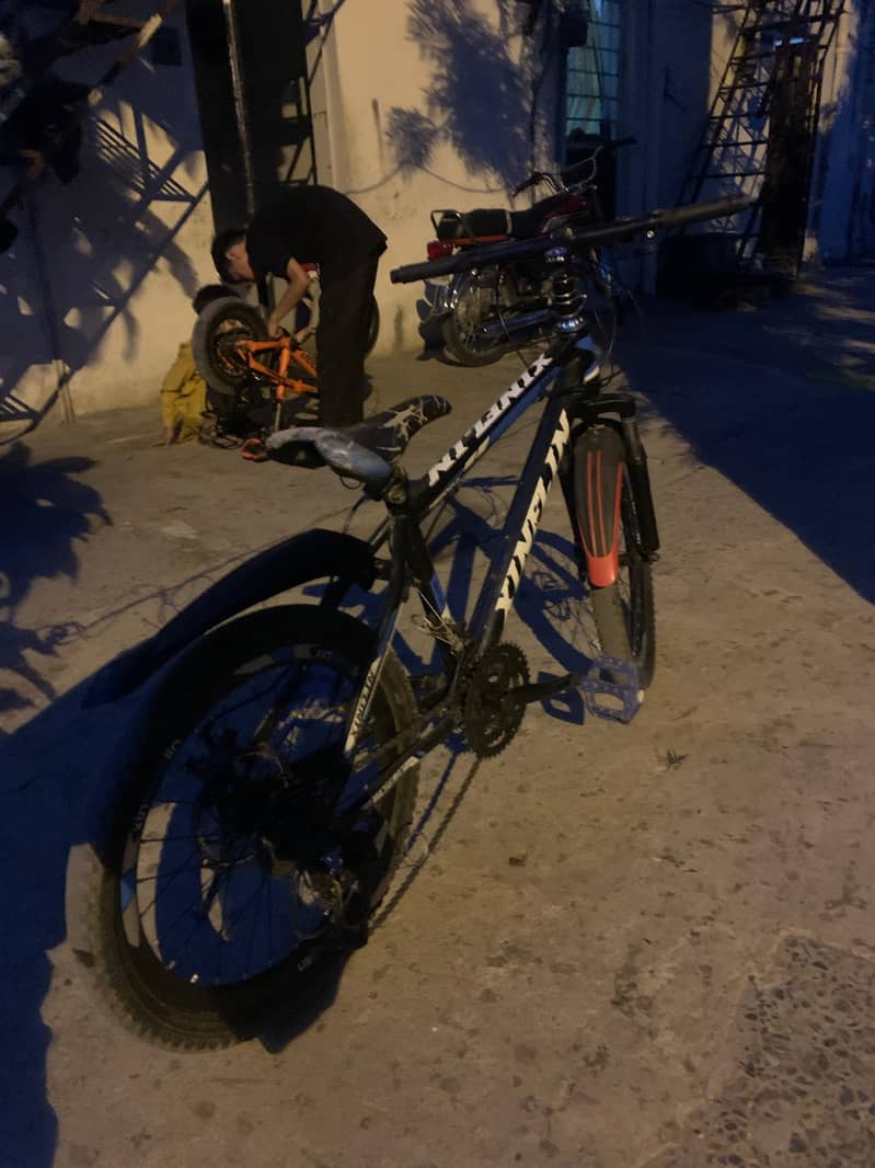 bicycle 2