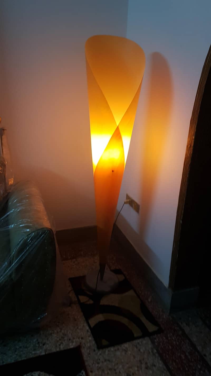 Floor Lamp 0