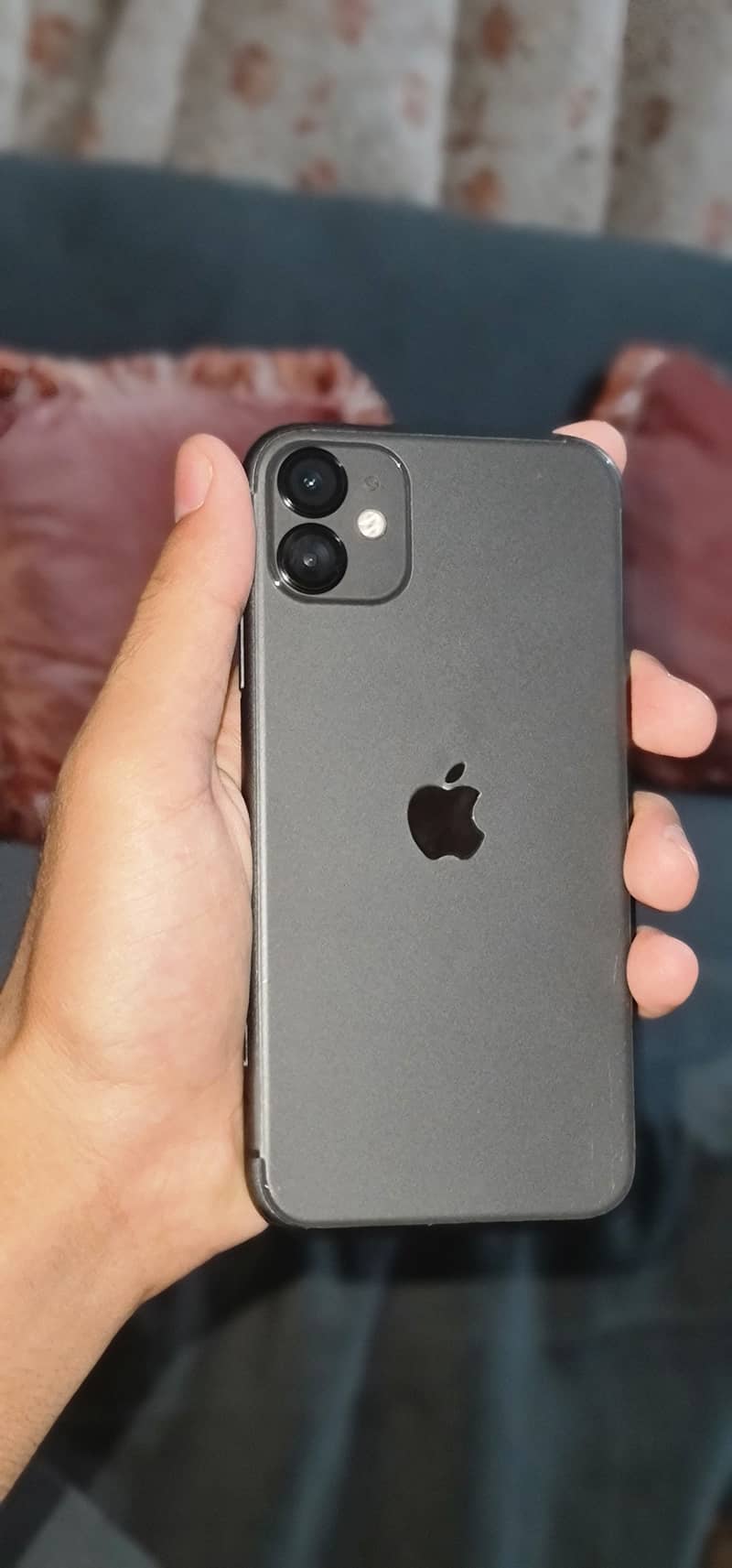 Apple iPhone 11 0