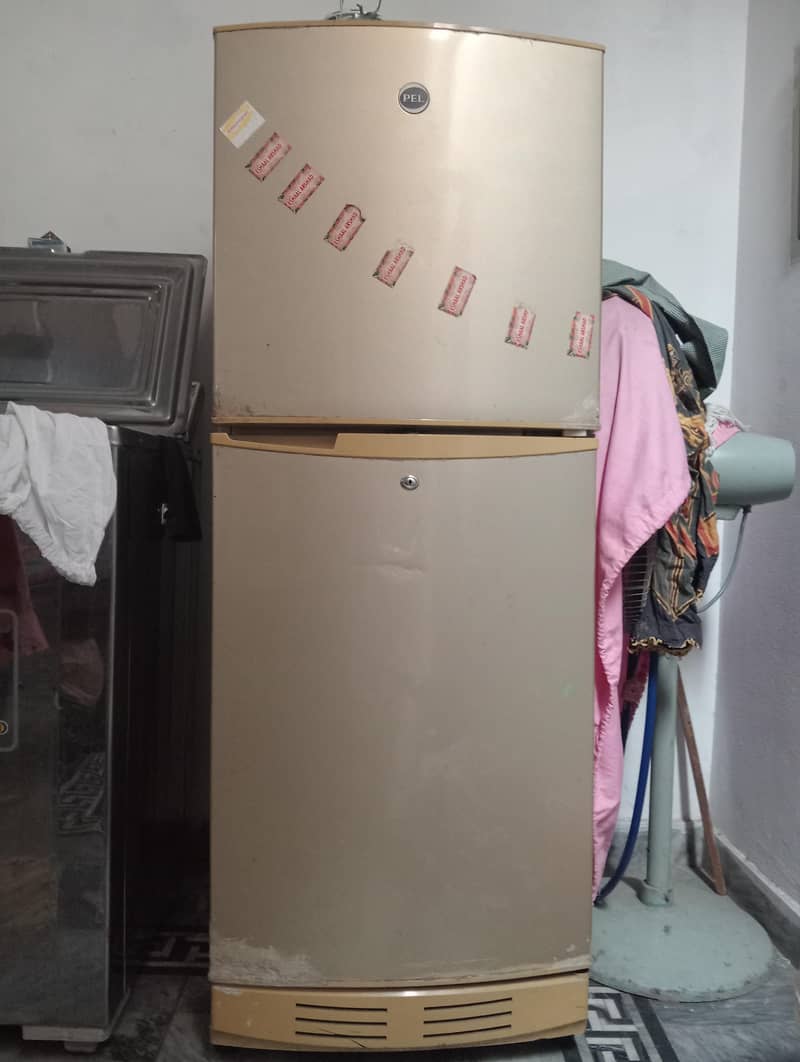medium size 3