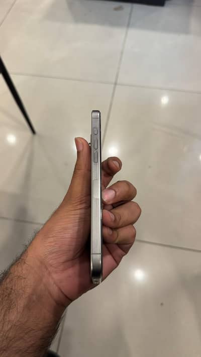 15 Pro Max 256gb 03184505505
