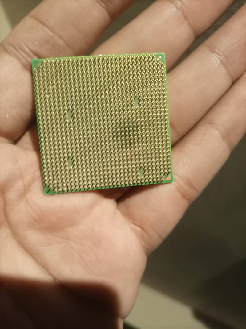Amd athlon processor  2005 1