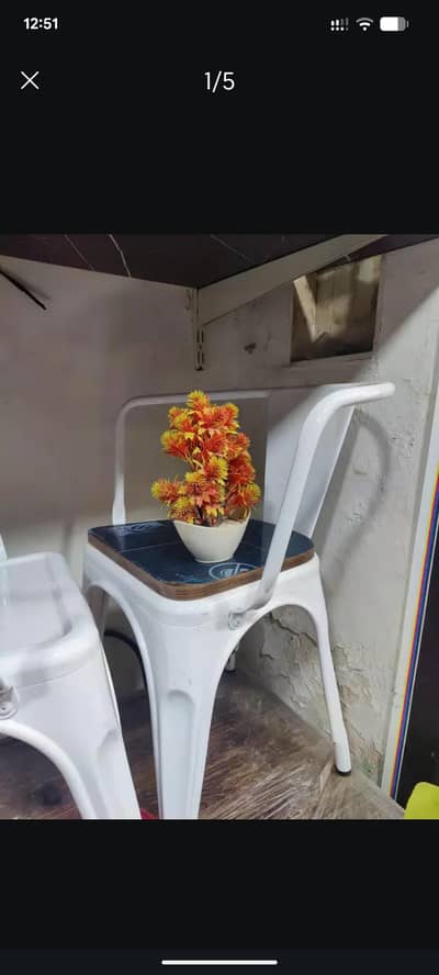 Chairs /sitting Chair