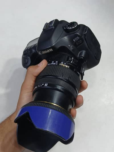 80d canon with Sigma 17-50mm f2.8 lens