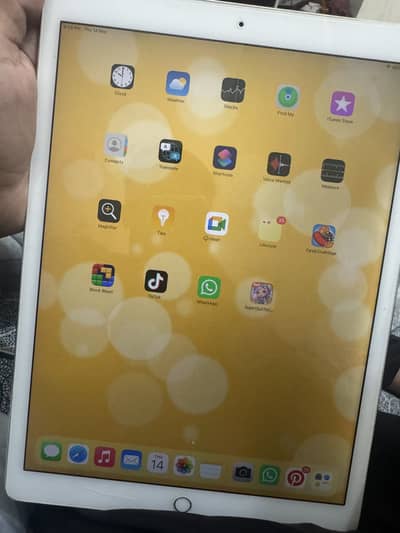 Ipad pro 2nd generation (12.9 inch)