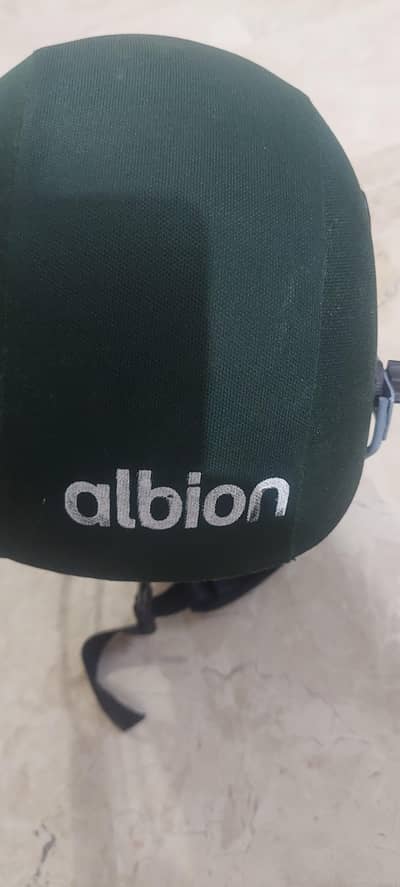 cricket helmet