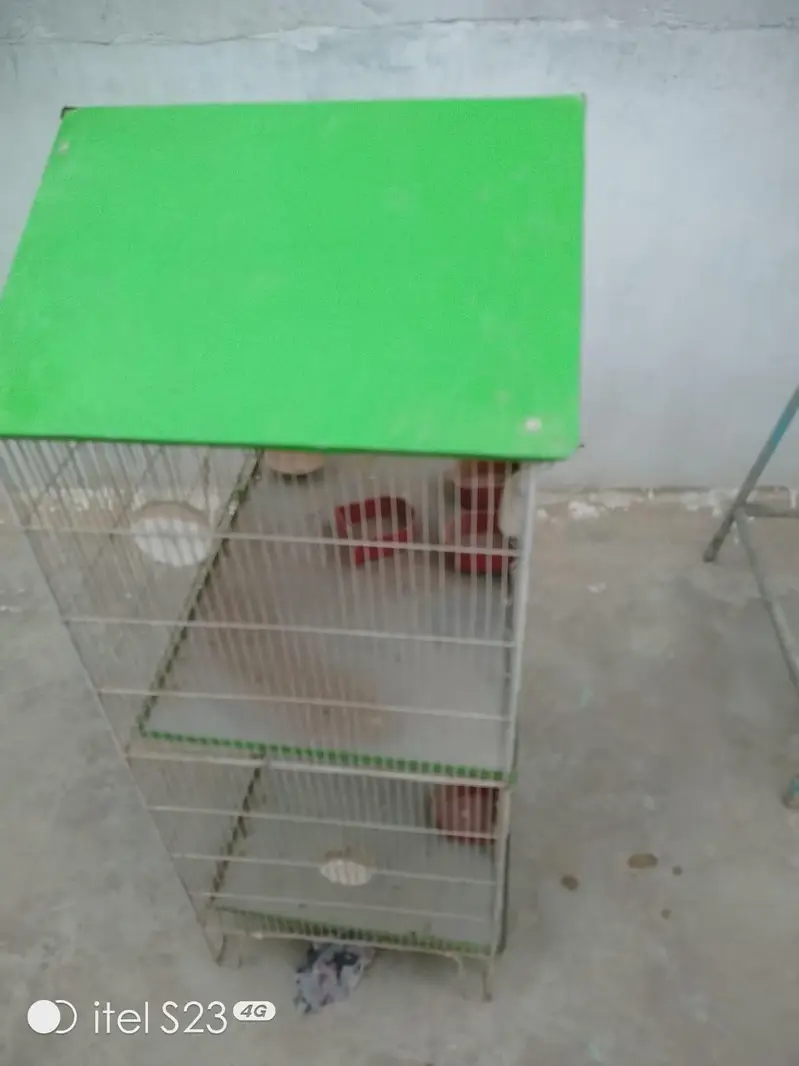 cage for sell — photo 3