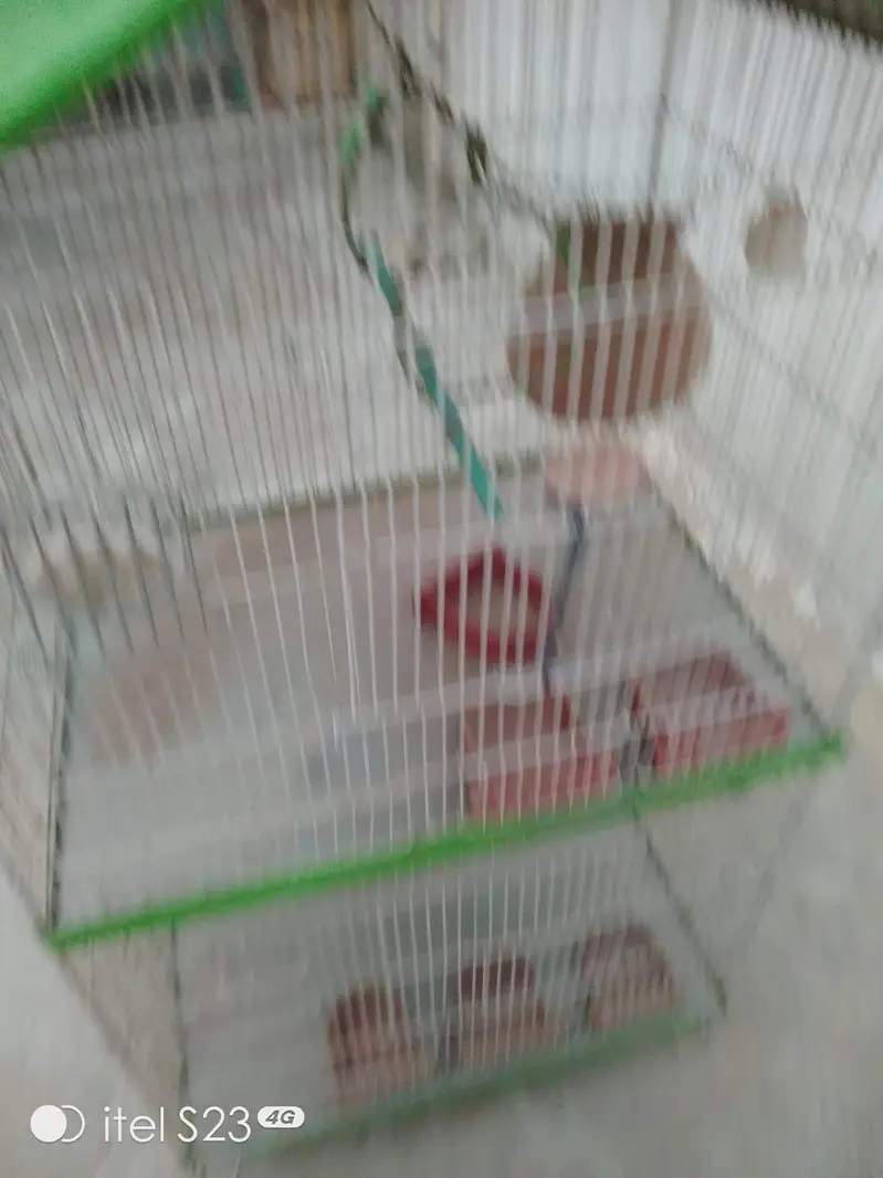 cage for sell — photo 4
