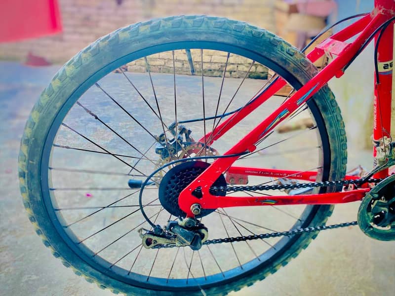 cycle orange colour 2