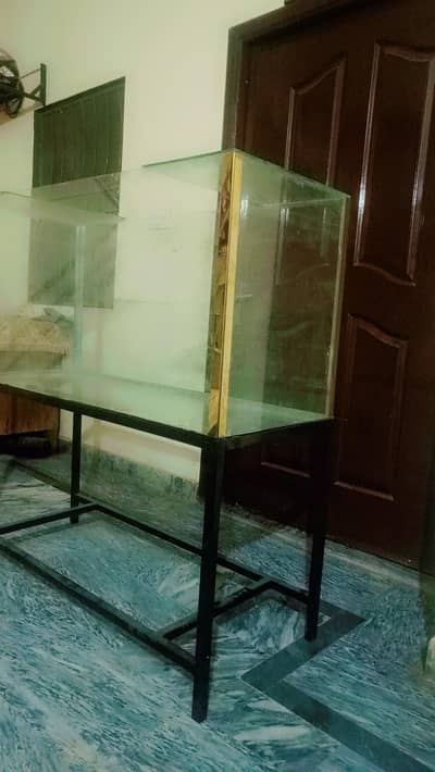 fish aquarium