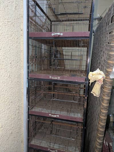 parrots breading cages